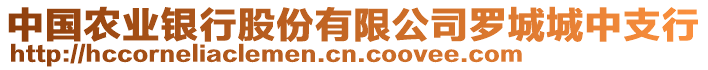 中国农业银行股份有限公司罗城城中支行