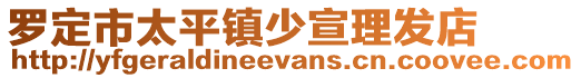 罗定市太平镇少宣理发店