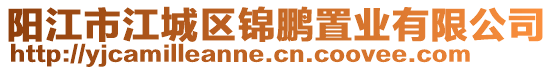 陽江市江城區(qū)錦鵬置業(yè)有限公司