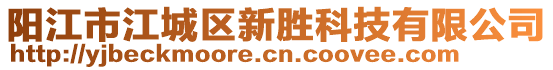 陽江市江城區(qū)新勝科技有限公司