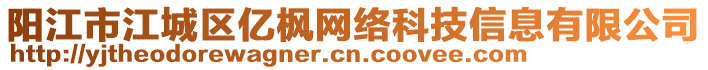 陽江市江城區(qū)億楓網絡科技信息有限公司