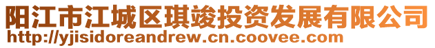 陽江市江城區琪竣投資發展有限公司