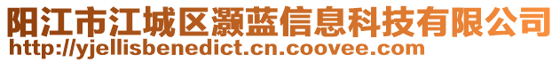 陽江市江城區灝藍信息科技有限公司