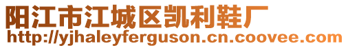 陽(yáng)江市江城區(qū)凱利鞋廠