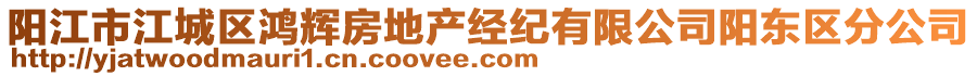 阳江市江城区鸿辉房地产经纪有限公司阳东区分公司