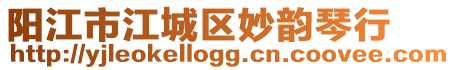 陽江市江城區妙韻琴行