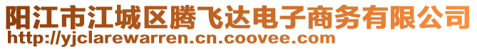 陽江市江城區(qū)騰飛達(dá)電子商務(wù)有限公司