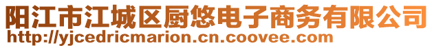 陽江市江城區廚悠電子商務有限公司