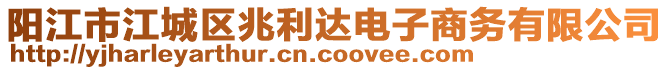 陽江市江城區(qū)兆利達(dá)電子商務(wù)有限公司