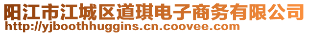 陽江市江城區(qū)道琪電子商務(wù)有限公司