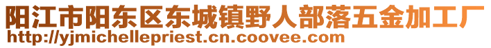 陽江市陽東區(qū)東城鎮(zhèn)野人部落五金加工廠