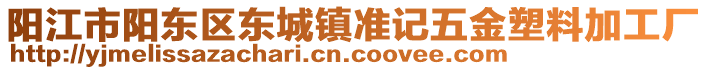 阳江市阳东区东城镇准记五金塑料加工厂