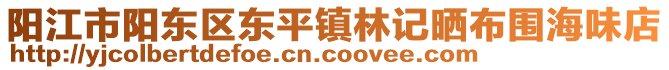 阳江市阳东区东平镇林记晒布围海味店