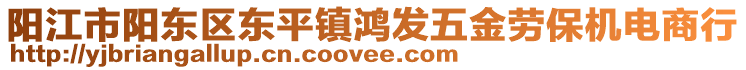 陽江市陽東區(qū)東平鎮(zhèn)鴻發(fā)五金勞保機電商行