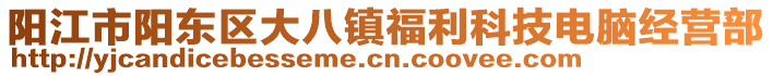 陽江市陽東區(qū)大八鎮(zhèn)福利科技電腦經(jīng)營部