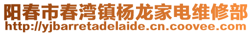 陽春市春灣鎮(zhèn)楊龍家電維修部