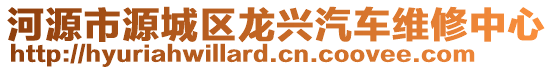 河源市源城區(qū)龍興汽車維修中心