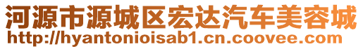 河源市源城區(qū)宏達(dá)汽車美容城