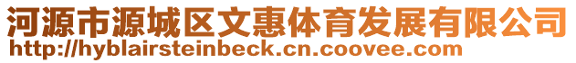 河源市源城區(qū)文惠體育發(fā)展有限公司