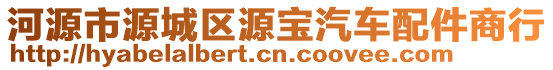 河源市源城區(qū)源寶汽車配件商行