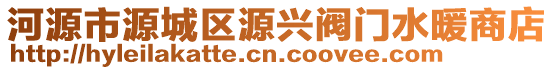 河源市源城區源興閥門水暖商店