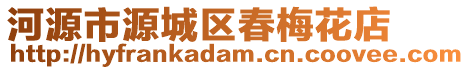 河源市源城區春梅花店