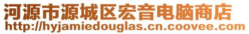 河源市源城區(qū)宏音電腦商店