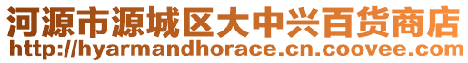 河源市源城區(qū)大中興百貨商店