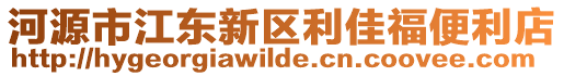 河源市江東新區(qū)利佳福便利店