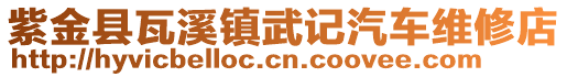 紫金县瓦溪镇武记汽车维修店