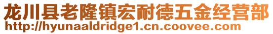 龍川縣老隆鎮(zhèn)宏耐德五金經(jīng)營部