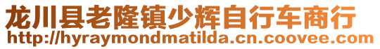 龍川縣老隆鎮少輝自行車商行