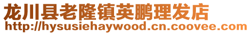 龍川縣老隆鎮(zhèn)英鵬理發(fā)店