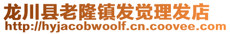 龍川縣老隆鎮發覺理發店