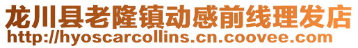龍川縣老隆鎮(zhèn)動感前線理發(fā)店