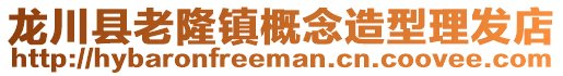 龍川縣老隆鎮概念造型理發店