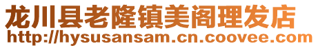 龍川縣老隆鎮(zhèn)美閣理發(fā)店