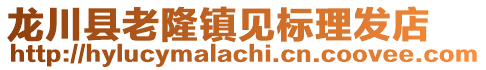 龍川縣老隆鎮(zhèn)見標(biāo)理發(fā)店