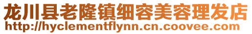 龍川縣老隆鎮(zhèn)細容美容理發(fā)店
