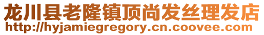龍川縣老隆鎮頂尚發絲理發店