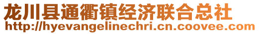 龍川縣通衢鎮(zhèn)經(jīng)濟聯(lián)合總社