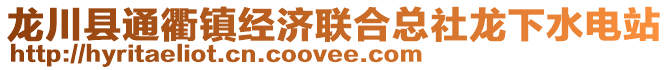 龍川縣通衢鎮經濟聯合總社龍下水電站