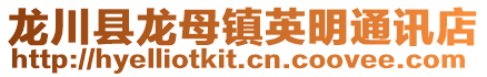 龍川縣龍母鎮英明通訊店