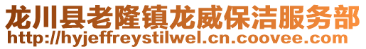 龍川縣老隆鎮龍威保潔服務部