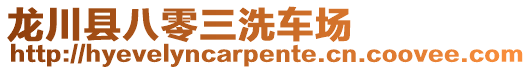 龍川縣八零三洗車場(chǎng)