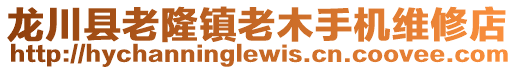 龍川縣老隆鎮(zhèn)老木手機(jī)維修店