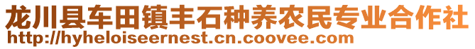 龍川縣車田鎮(zhèn)豐石種養(yǎng)農(nóng)民專業(yè)合作社