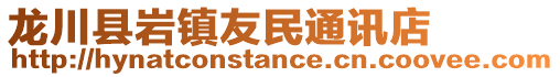 龍川縣巖鎮(zhèn)友民通訊店