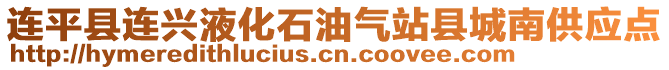 连平县连兴液化石油气站县城南供应点