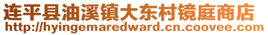 連平縣油溪鎮大東村鏡庭商店